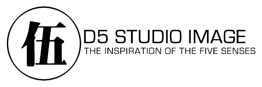 D5 Studio Image
