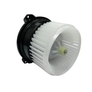 Blower Motor